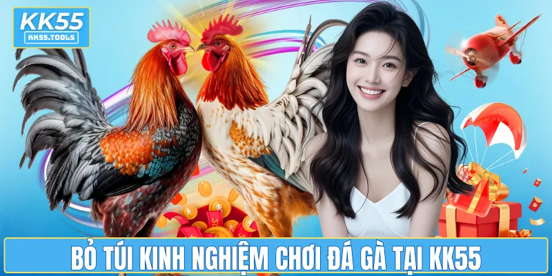 Bỏ túi kinh nghiệm chơi đá gà tại KK55